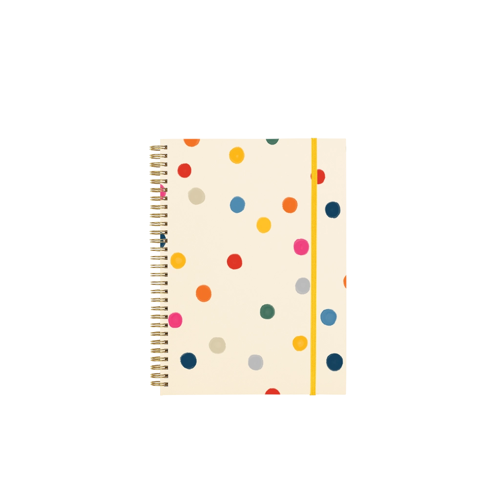 Ball Pit Notebook